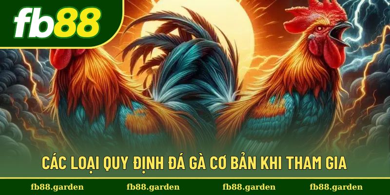 Những quy định cơ bản cần biết khi tham gia đá gà