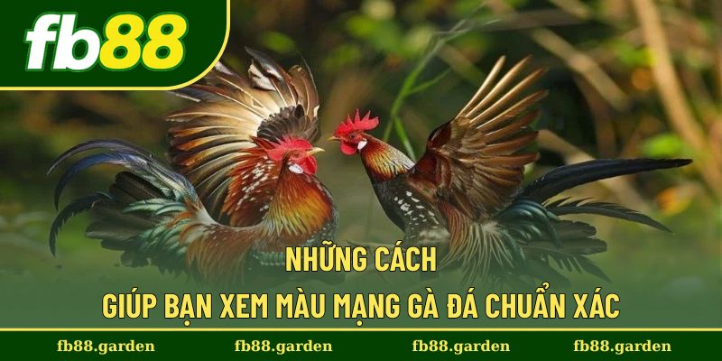 Hướng dẫn xem màu mạng chuẩn cho người chơi