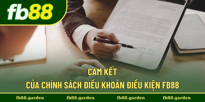 Cam kết của nhà cái về chính sách điều khoản