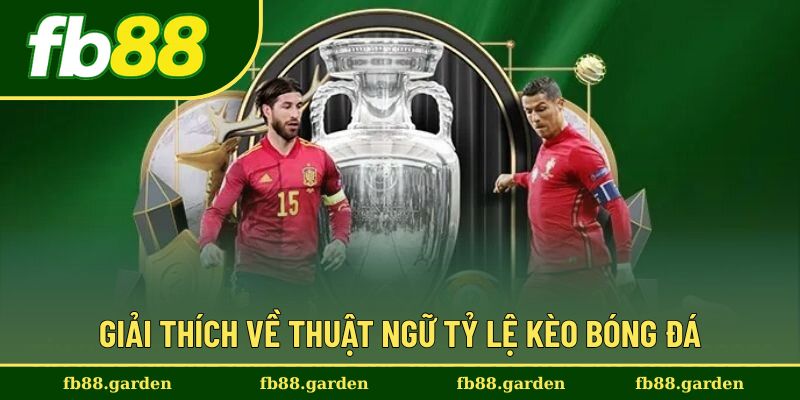 Tìm hiểu thuật ngữ tỷ lệ kèo trong bóng đá