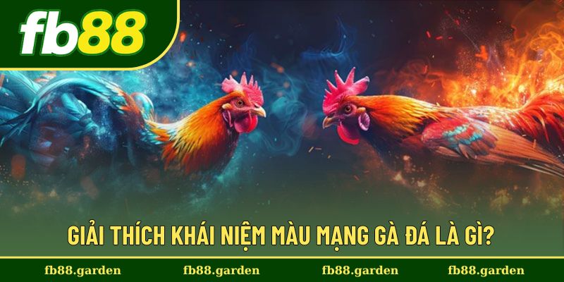 Làm rõ khái niệm về màu mạng gà đá là gì?