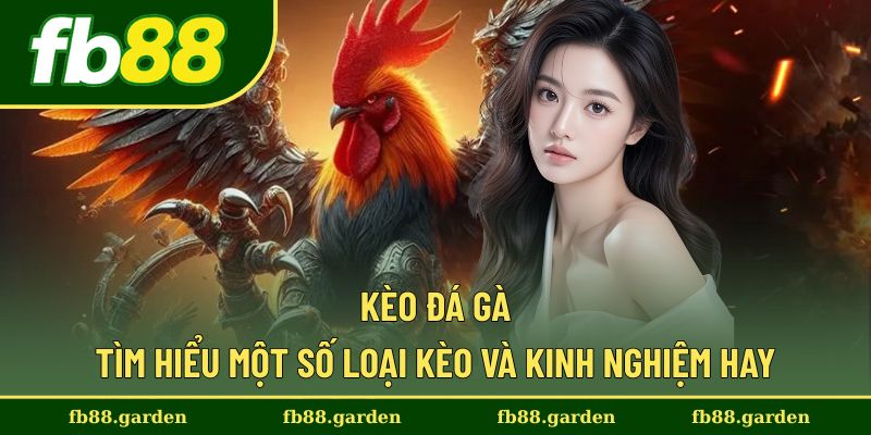 Kèo Đá Gà - Tìm Hiểu Một Số Loại Kèo Và Kinh Nghiệm Hay