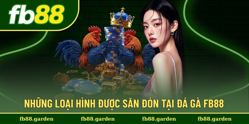 Danh sách thể loại đá gà FB88 hot được săn đón
