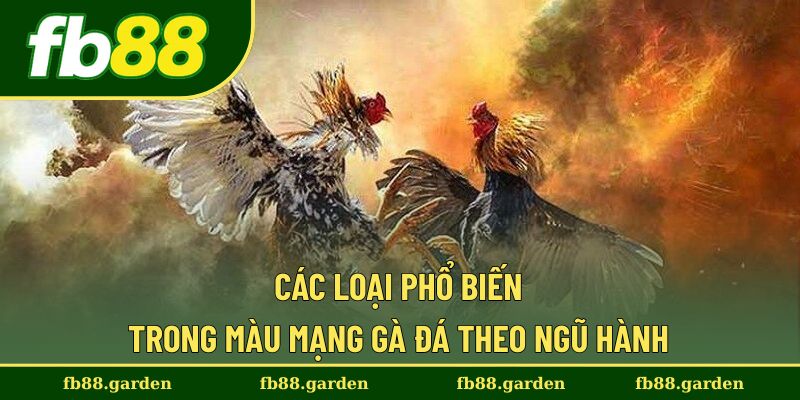 Phân loại phổ biến của màu gà đá theo thuyết ngũ hành