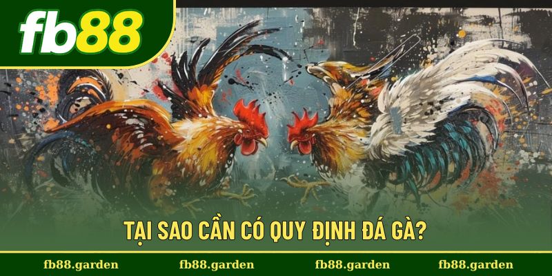 Lý do vì sao cần có các quy định trong đá gà