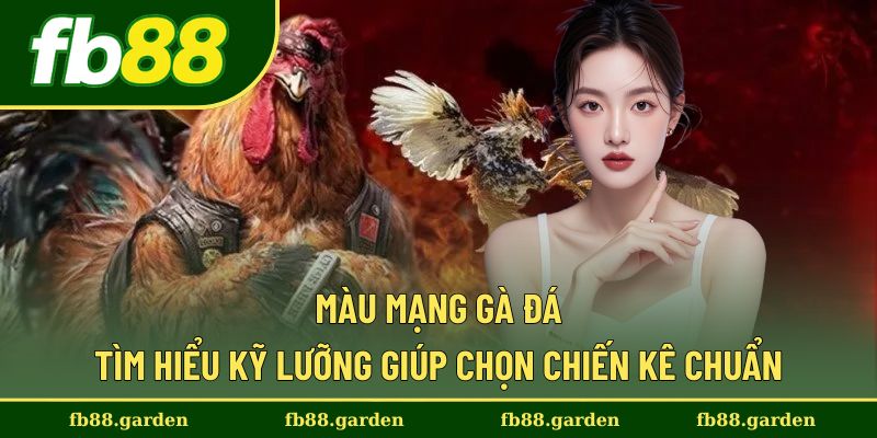 Màu Mạng Gà Đá - Tìm Hiểu Kỹ Lưỡng Giúp Chọn Chiến Kê Chuẩn