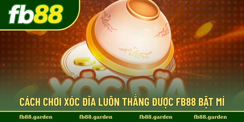 Bật mí cách chơi xóc đĩa luôn thắng từ chuyên gia