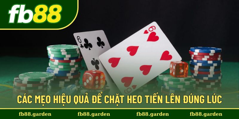Mẹo hay giúp tối ưu chiến thuật chặt heo