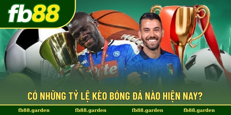 Tổng hợp nhiều tỷ lệ kèo bóng đá