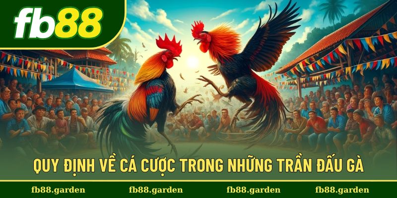 Những quy định đá gà cần biết khi cá cược ở trận đấu