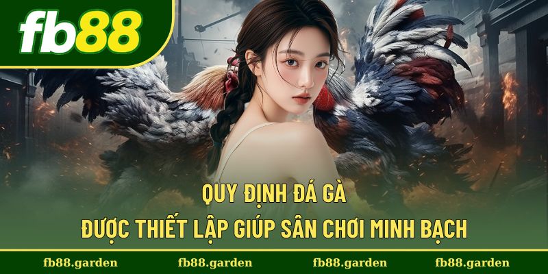 Quy Định Đá Gà Được Thiết Lập Giúp Sân Chơi Minh Bạch
