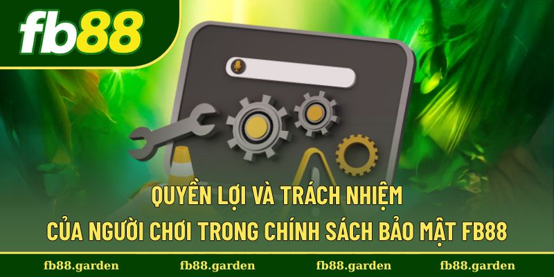 Quyền lợi và trách nhiệm cần nắm của hội viên
