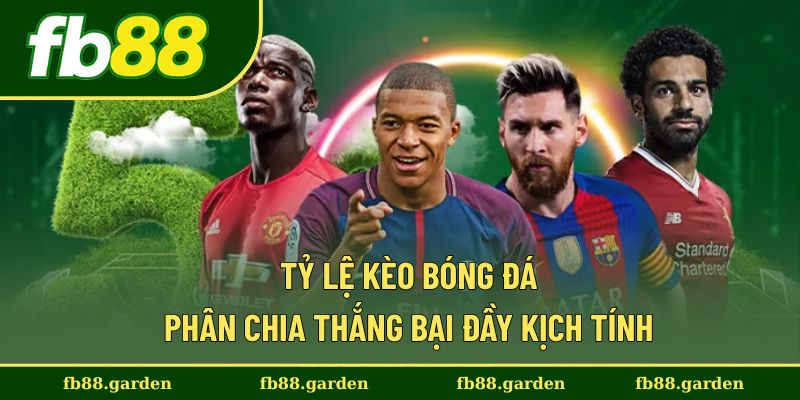 Tỷ Lệ Kèo Bóng Đá - Phân Chia Thắng Bại Đầy Kịch Tính