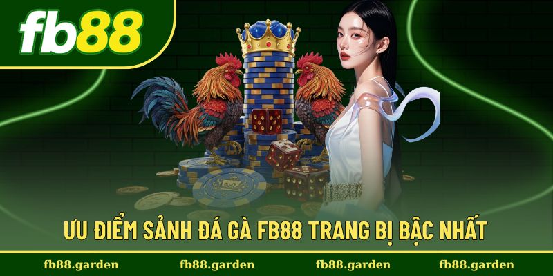 Lợi thế vượt trội khi trải nghiệm sảnh đá gà tại FB88