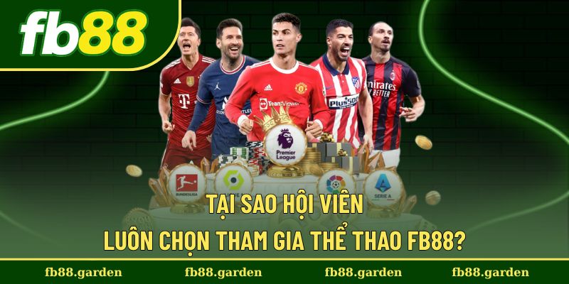 Lý do nào giúp thể thao FB88 trở thành lựa chọn hàng đầu