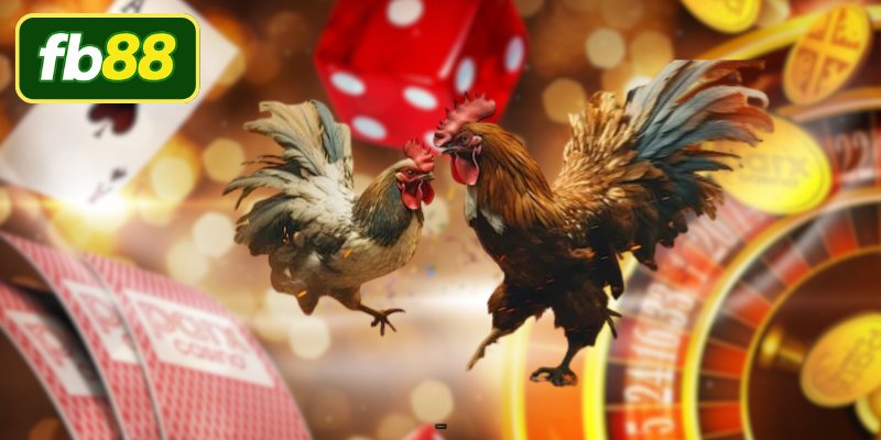 Phương pháp đặt cược mang lại thành công cao