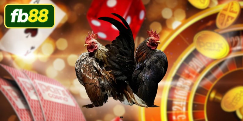 Tìm hiểu sức hút từ bộ môn đá gà cựa sắt hôm nay